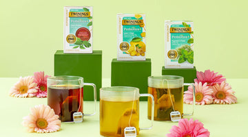 Better Gut Health Starts With the Perfect Probiotic Tea