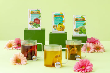 Better Gut Health Starts With the Perfect Probiotic Tea