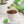Load image into Gallery viewer, Green Tea K-Cup® Pods
